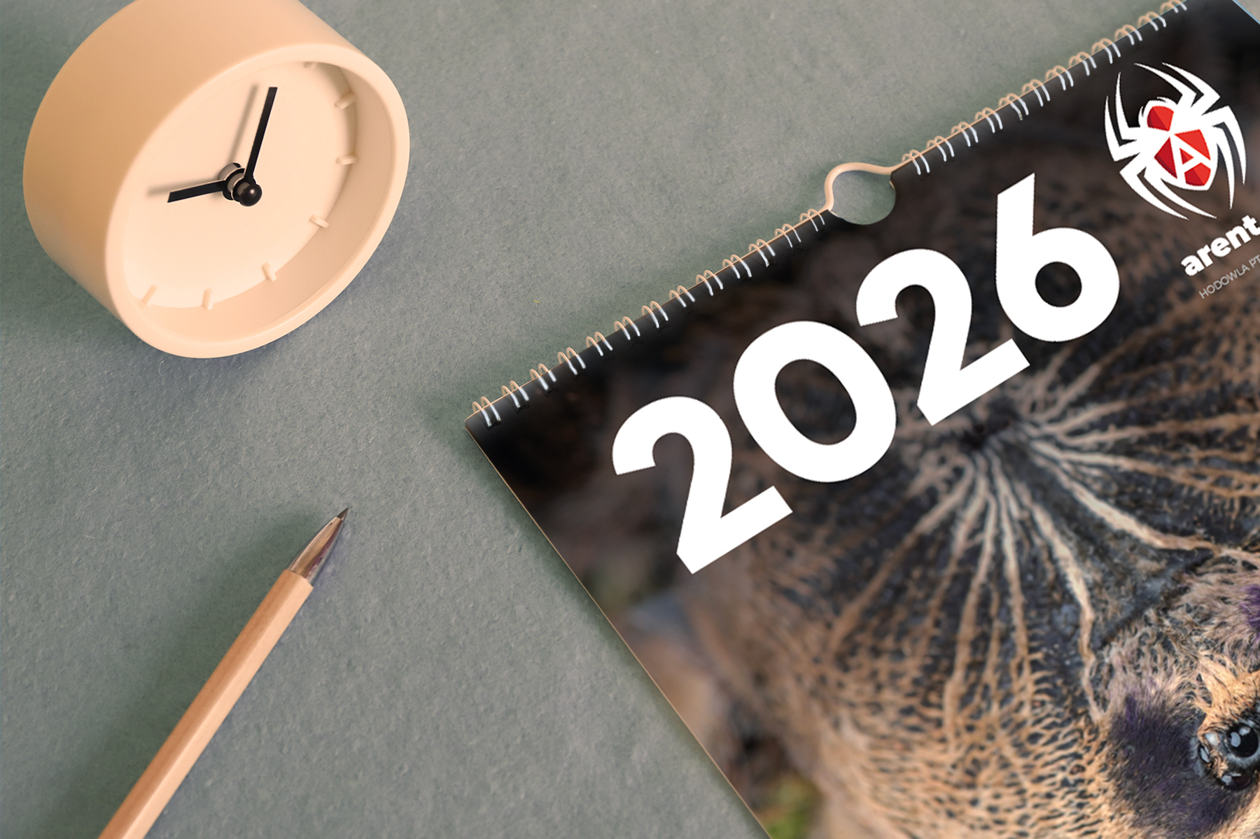 Kalendarz 2026 z ptasznikami PREORDER - obrazek 3